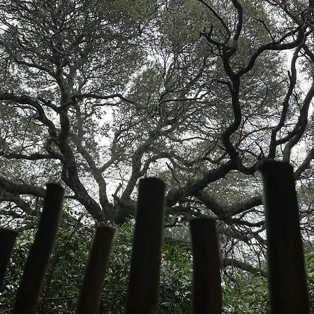 Lebombo Wattle Cottages 赫卢赫卢韦 外观 照片