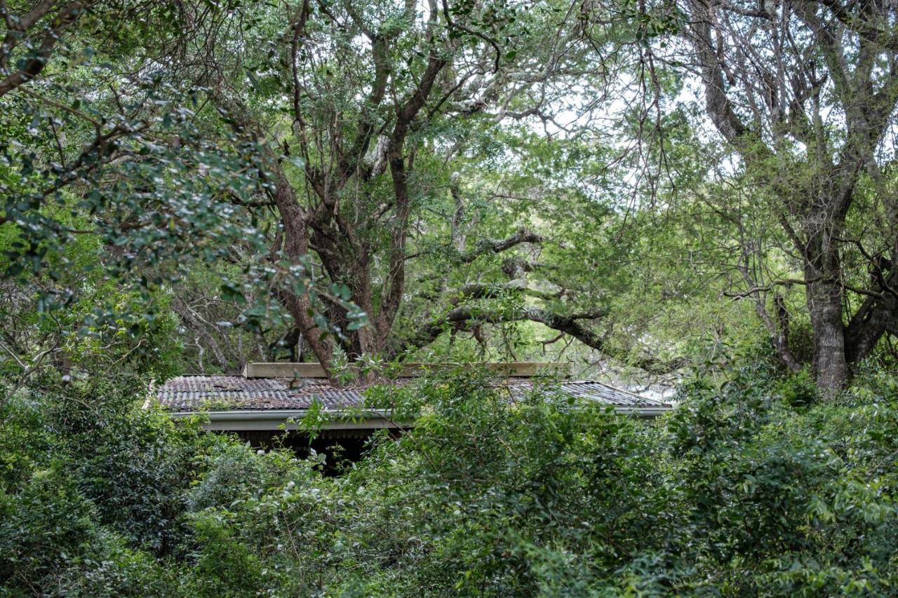 Lebombo Wattle Cottages 赫卢赫卢韦 外观 照片