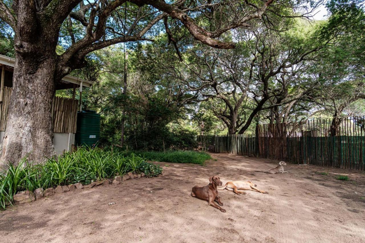 Lebombo Wattle Cottages 赫卢赫卢韦 外观 照片