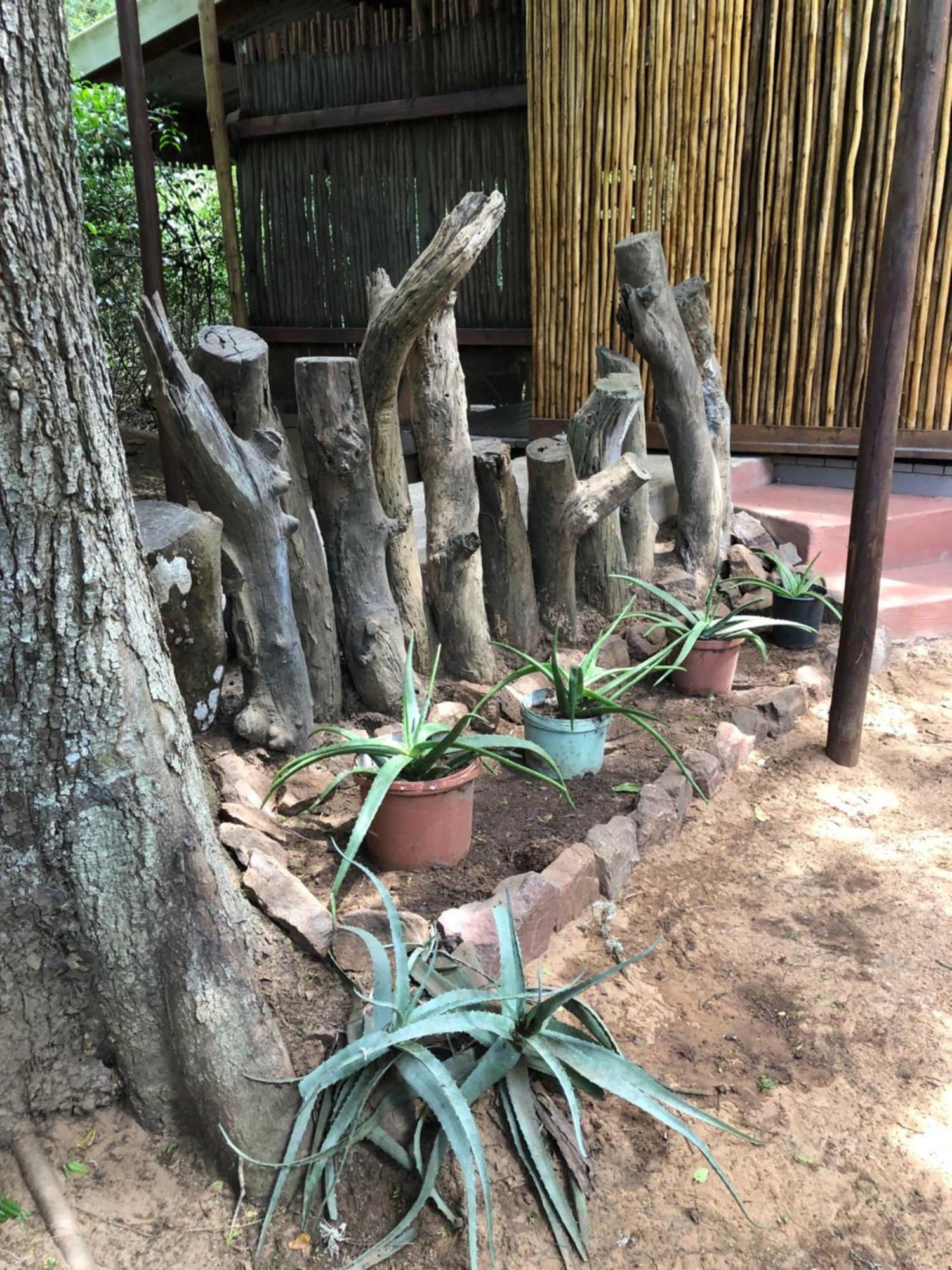 Lebombo Wattle Cottages 赫卢赫卢韦 外观 照片