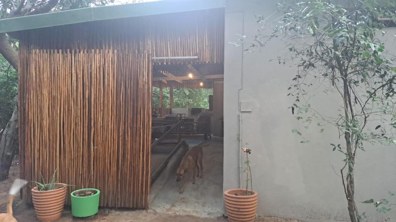 Lebombo Wattle Cottages 赫卢赫卢韦 外观 照片